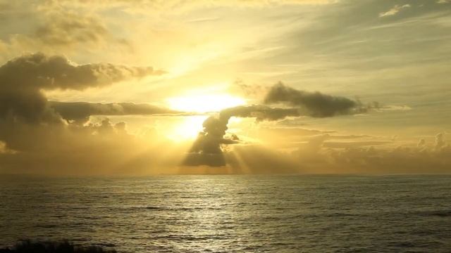 солнцемёд sunhoney танцуя среди солнц dancing among the suns смотреть онлайн