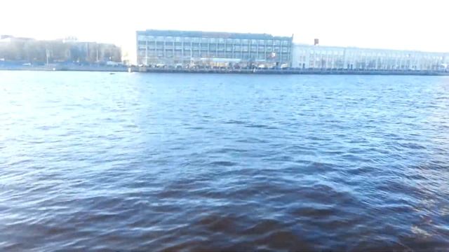 Сброс канализации в Неву смотреть онлайн