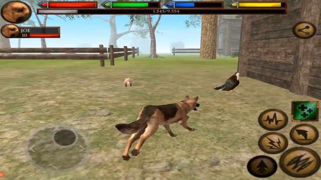 German Shepherd Simulator 3D Ultimate Dog Simulator By Gluten Free Games смотреть онлайн