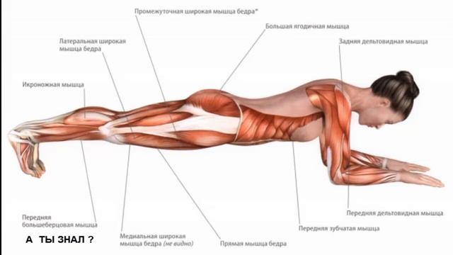 Всего ОДНО УПРАЖНЕНИЕ заменит вам поход в спортзал , 3 минуты в день и ваша фигура идеальна