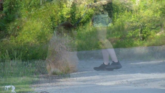 Tibetan Mastiff boy, 4 months old. RKF/FCI смотреть онлайн