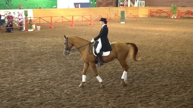 Золотая лошадь 2019 - Светлана Киселева и донской мерин Субъект – КЮР смотреть онлайн