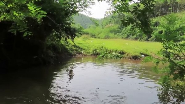 Skill catching fish - Skill of catching catfish Create strange fishing traps to catch catfish