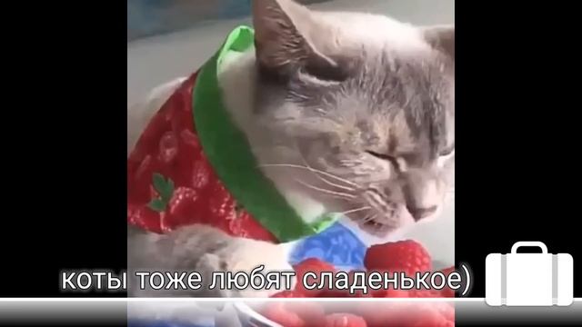 Приколы. Жесть от студента. Когда опоздал на работу.