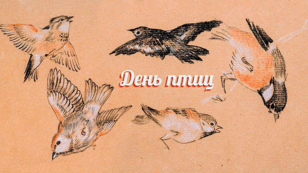 Лекция о дне птиц смотреть онлайн