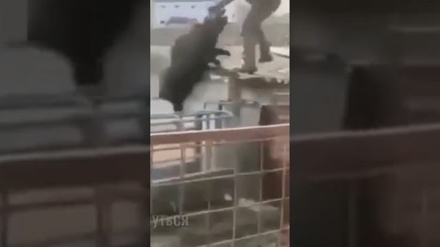 Стоит ли экономить на блоке питания?