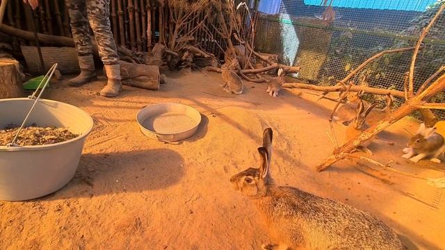 Суетливая уборка смотреть онлайн