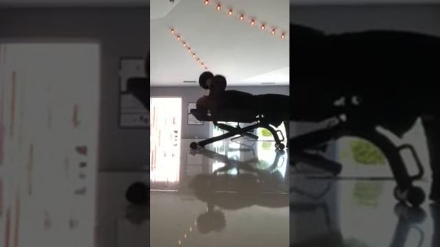 Д1 разводки с гантелями лёжа на горизонтали смотреть онлайн