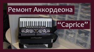 Трудовые будни / Ремонт Аккордеона "Weltmeister Caprice"