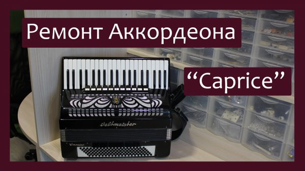 Трудовые будни / Ремонт Аккордеона "Weltmeister Caprice"