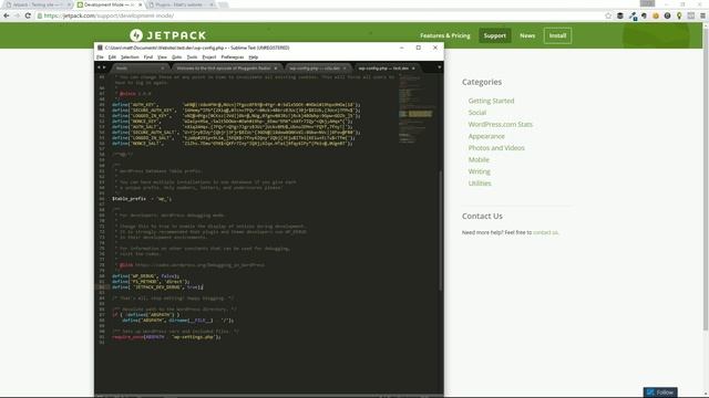 How to use Jetpack plugin without using WordPress.com | Dev mode смотреть онлайн