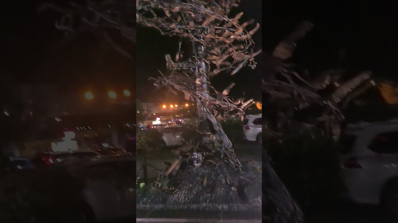 памятник «СМЕРЧ ЖУРАВЛЕЙ» смотреть онлайн