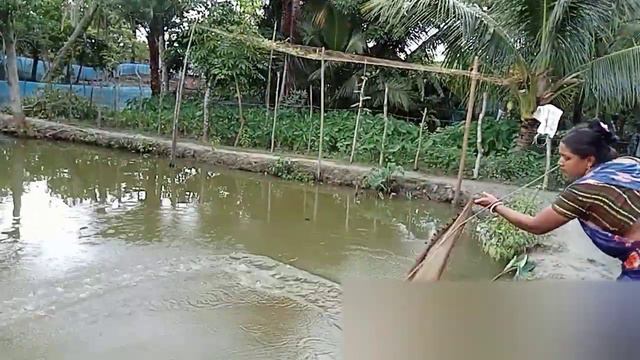 how to catch fish in pond by net | Village woman catching fish | how to catch fish in minecraft смотреть онлайн