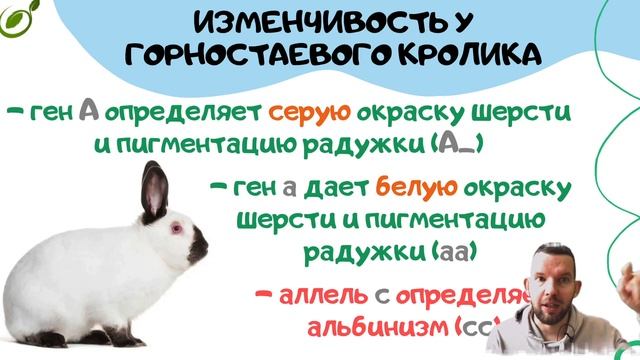 Л.13 | МОДИФИКАЦИОННАЯ ИЗМЕНЧИВОСТЬ | ГЕНЕТИКА | ОБЩАЯ БИОЛОГИЯ ЕГЭ смотреть онлайн