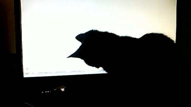 WiFi The Cat смотреть онлайн