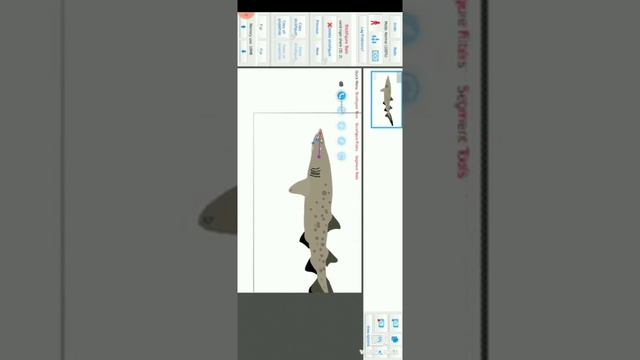 Stick Nodes:เเจกSand Tiger Shark Pack 2 смотреть онлайн