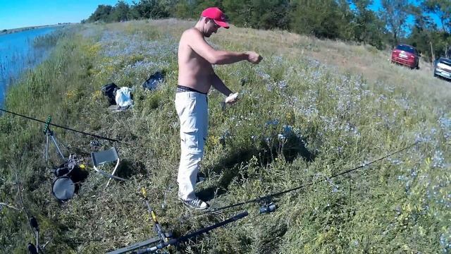 Ловля карася донкой на тесто Забытые насадки из детства смотреть онлайн