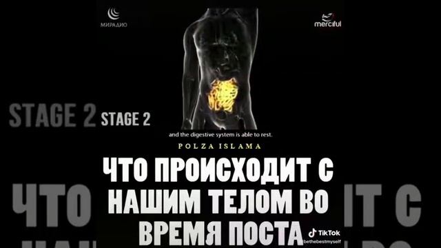 Что происходит с нашим телам во время поста смотреть онлайн