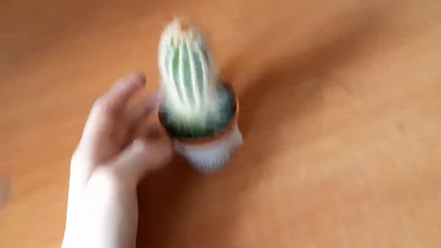 MINI VLOG #2   Почему я плачу?