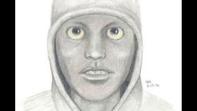 Scariest police sketches & photos .VOL 2 смотреть онлайн
