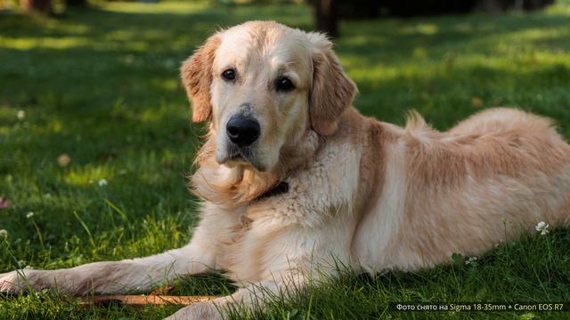 Этот объектив НЕВОЗМОЖНО купить | Sigma 18-35mm f/1.8 Art смотреть онлайн