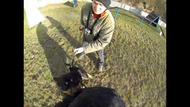 Defense training 6- rotobull Atila смотреть онлайн