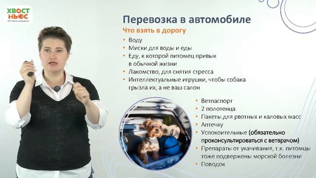 Едем с питомцем на дачу: правила перевозки, клещи, аптечка. Вебинар Школы «Хвост Ньюс» смотреть онлайн