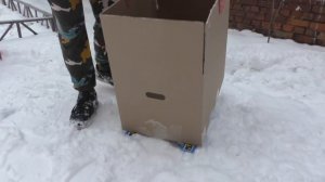 ДЕЛАЕМ КАРТОННЫЕ САНИ ДЛЯ КОТА КЕВИНА И БИЛЛИ