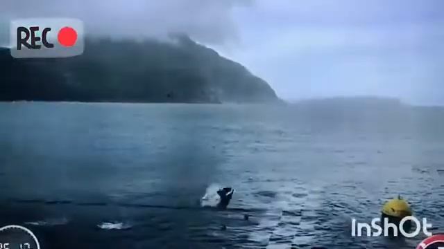 Michael Phelps VS Great White Shark Incredible Full [Theplanet3.com] смотреть онлайн