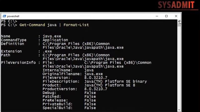 Java: Ver versión (Windows) смотреть онлайн