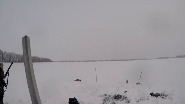 Мисливські Історії.Полюваня з норними! смотреть онлайн
