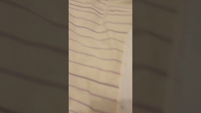 2 блакнот много идеи и приколы про животных смотреть онлайн