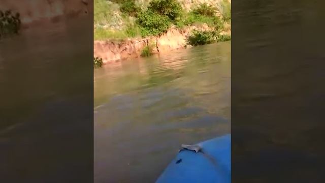 Село Отказное, река Кума смотреть онлайн