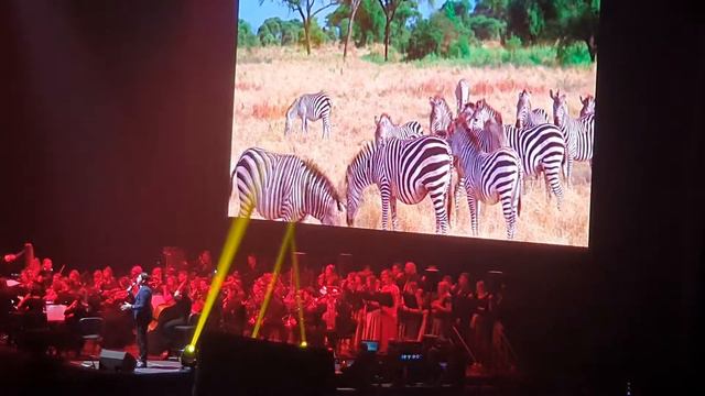 Baba Yetu-Civilization IV soundtrack-Krzysztof Iwaneczko - (Live in Hala Stulecia Wroclaw) смотреть онлайн