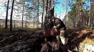 Торфоразработки! Долгожданный металлокоп!!!