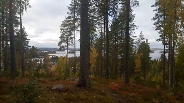 Интересные факты про Куопио | interesting facts about Kuopio.#Куопио#Интересные#факты#Kuopio. смотреть онлайн