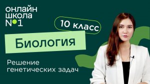 Решение генетических задач. Часть 2. Биология 10 класс. Видеоурок 30