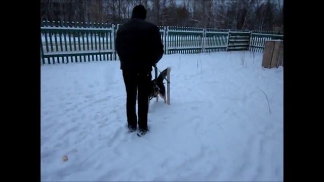 Отказ от корма продолжение.wmv смотреть онлайн