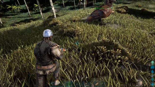ARK 12 CZ _ Ropa, bile perly a soustruh смотреть онлайн