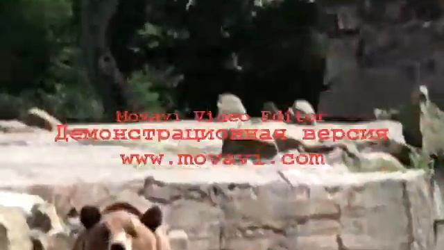 ржака смотреть обязательно) смотреть онлайн