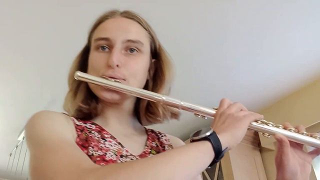 Dumbledore's theme - James Newton Howard - Cover by YasminesHappiness - classical flute смотреть онлайн