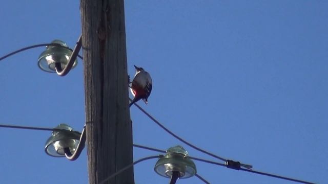 Неутомимый труженик. КИРЕЕВСК-СФТИ. 9 МАРТА 2023. смотреть онлайн