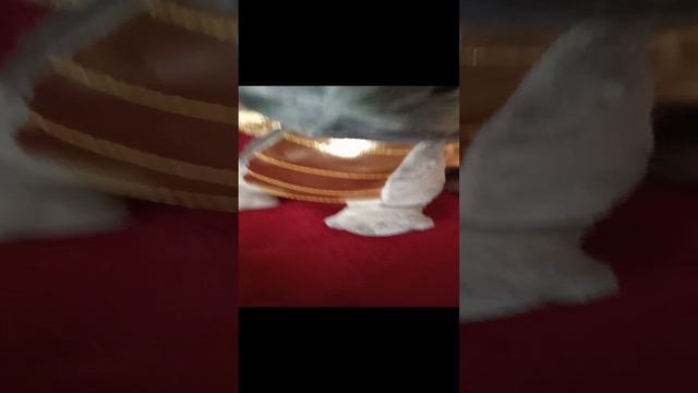 Видео о канале