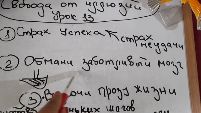 МАРАФОН ТАТЬЯНЫ ШУМИЛОВОЙ СВОБОДА ОТ ИЛЛЮЗИЙ. УРОК 13. РАСПЛАВЛЯЕМ СТРАХ УСПЕХА смотреть онлайн