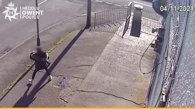 Pair jailed for Caerphilly dog attack death смотреть онлайн