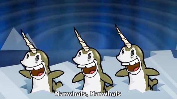 Narwhals - Weeble's Stuff