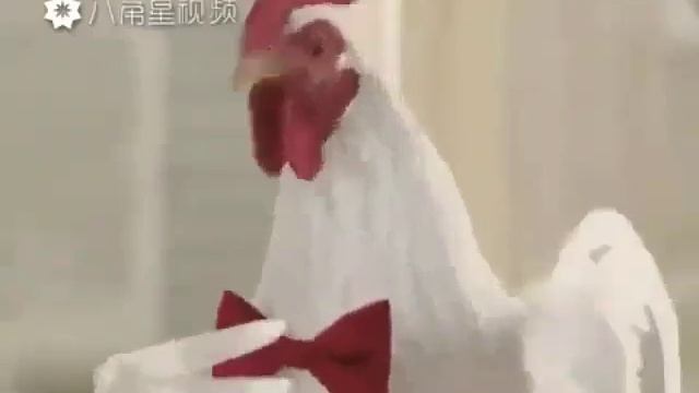 Петухи кукарекают смотреть онлайн