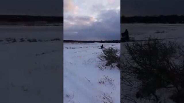 динго т125 с гусянкой от бурана по болоту смотреть онлайн