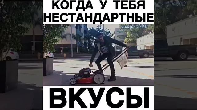 Когда у тебя нестандартные вкусы смотреть онлайн