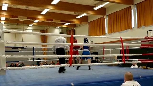 Kultahanska mikkeli 2019 Järvinen-Halmesmäki смотреть онлайн